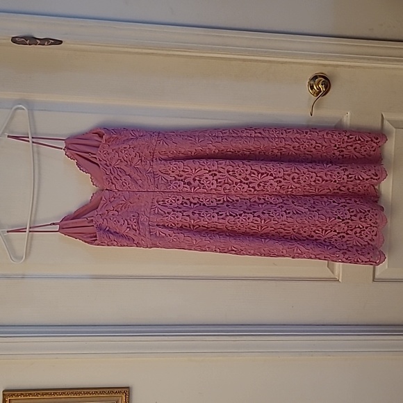 NWT J.Crew Guipure Pink Spaghetti Strap Lace Lined Scalloped Neckline/Hem Dress - Picture 6 of 17